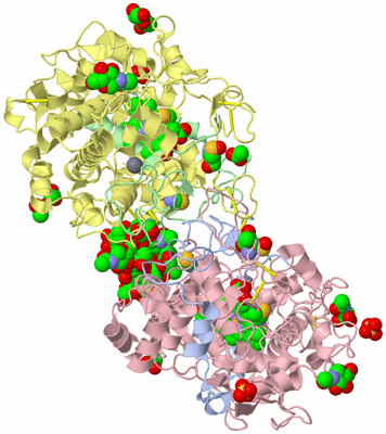 Image Biological Unit 1