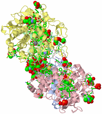 Image Biol. Unit 1 - sites