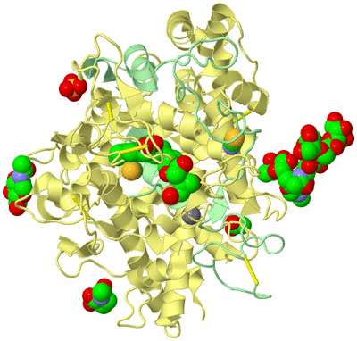 Image Biological Unit 2