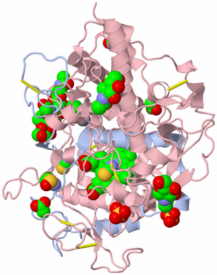 Image Biological Unit 3