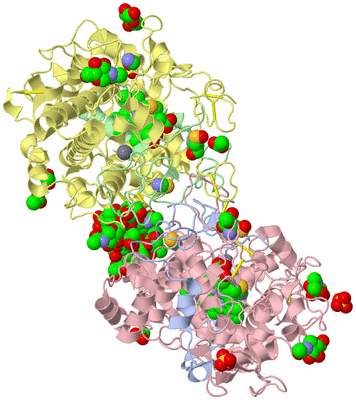 Image Biological Unit 1