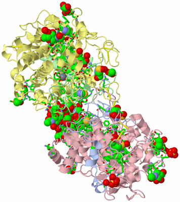 Image Biol. Unit 1 - sites