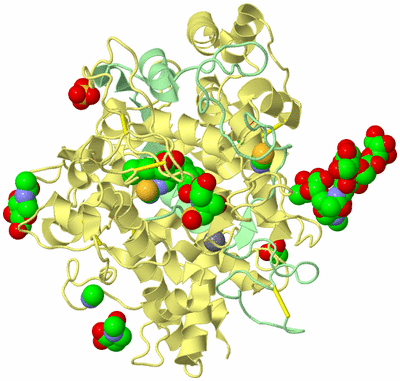 Image Biological Unit 3