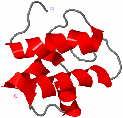 Image NMR Structure - model 1