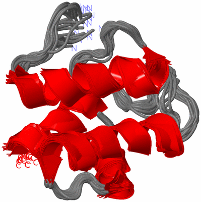 Image NMR Structure - all models