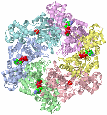 Image Asym./Biol. Unit