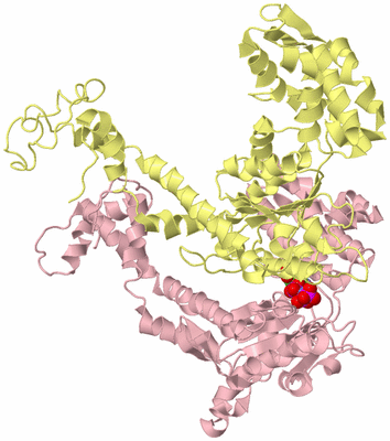 Image Biological Unit 2