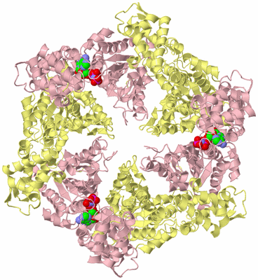 Image Biological Unit 3