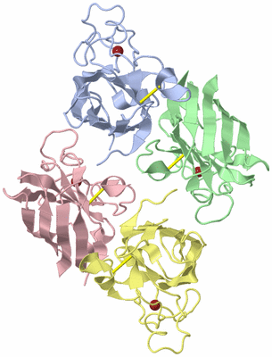 Image Asymmetric Unit