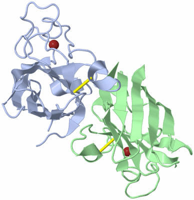 Image Biological Unit 1