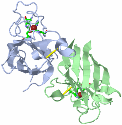 Image Biol. Unit 1 - sites