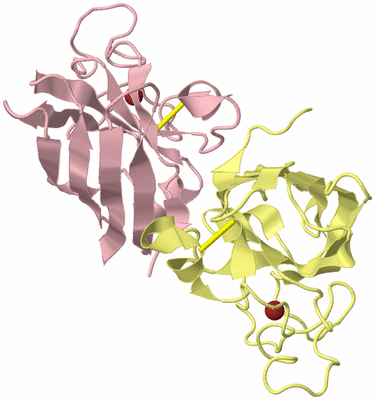Image Biological Unit 2
