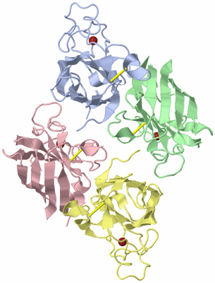 Image Biological Unit 3