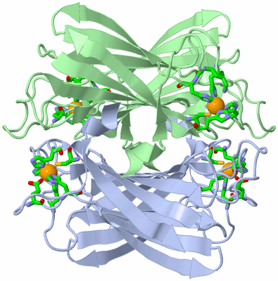 Image Biol. Unit 1 - sites