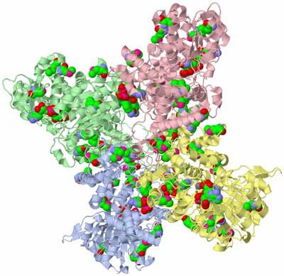 Image Asym./Biol. Unit