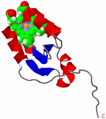 Image NMR Structure - model 1