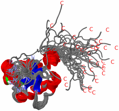Image NMR Structure - all models