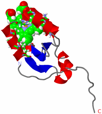 Image NMR Structure - model 1, sites
