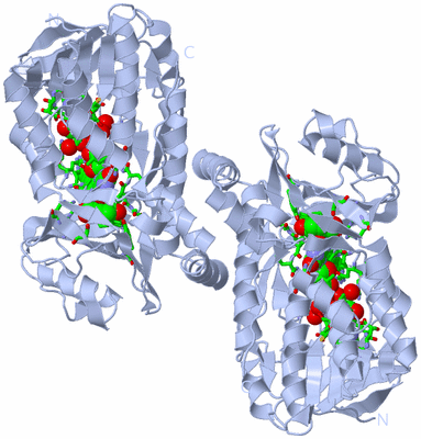 Image Biol. Unit 1 - sites