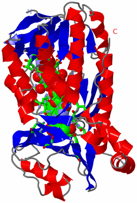 Image Asym. Unit - sites