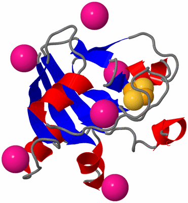 Image Asymmetric Unit