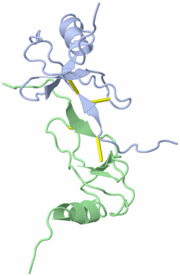 Image NMR Structure - model 1