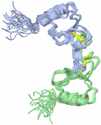 Image NMR Structure - all models