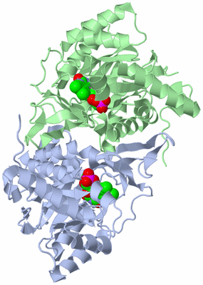 Image Asym./Biol. Unit