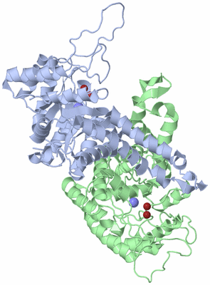 Image Asym./Biol. Unit