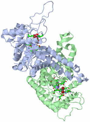 Image Asym./Biol. Unit - sites