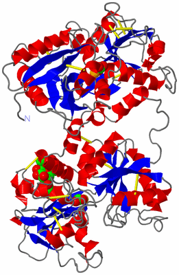 Image Asym./Biol. Unit