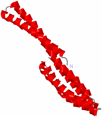 Image Asymmetric Unit