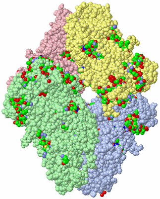 Image Asym./Biol. Unit - sites