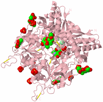 Image Biological Unit 1