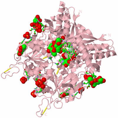 Image Biol. Unit 1 - sites