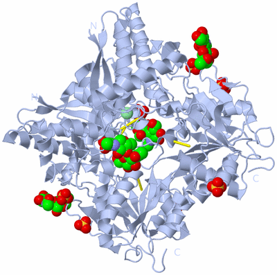 Image Biological Unit 2