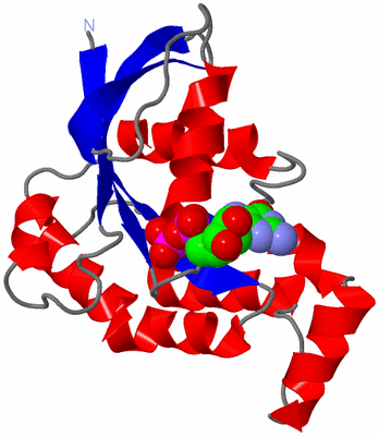 Image Asym./Biol. Unit