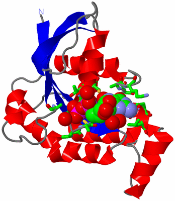 Image Asym./Biol. Unit - sites