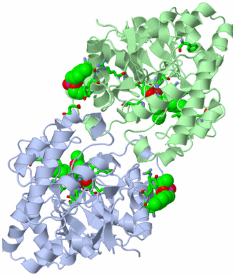 Image Asym./Biol. Unit - sites