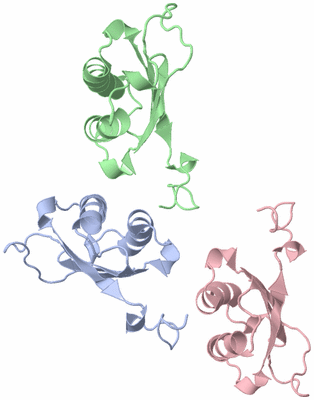 Image Asymmetric Unit