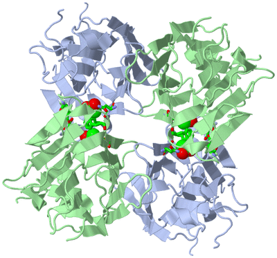 Image Biol. Unit 1 - sites