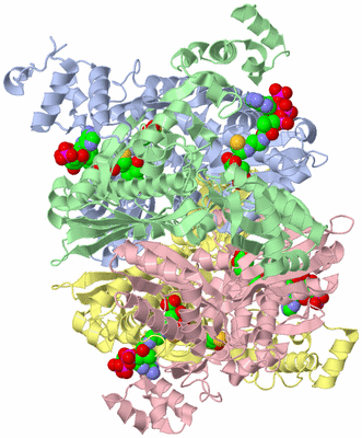 Image Asym./Biol. Unit