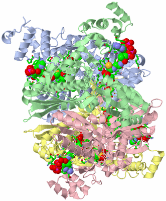 Image Asym./Biol. Unit - sites