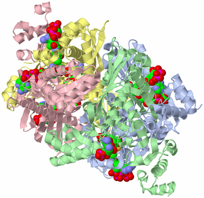 Image Asym./Biol. Unit