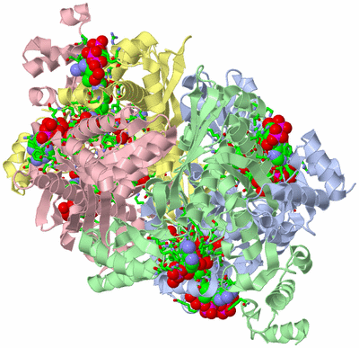 Image Asym./Biol. Unit - sites