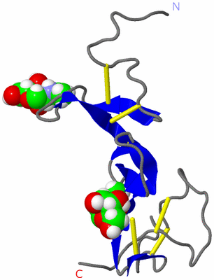 Image NMR Structure - model 1