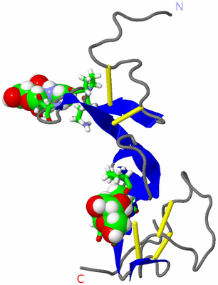 Image NMR Structure - model 1, sites