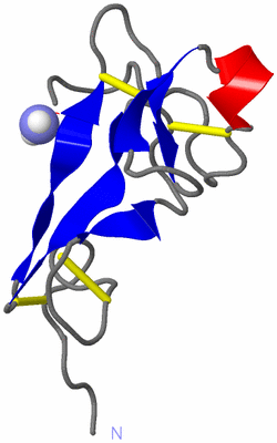 Image NMR Structure - model 1