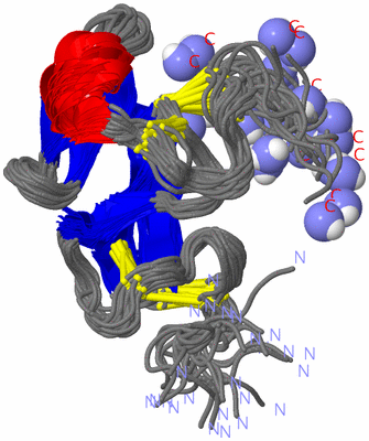 Image NMR Structure - all models