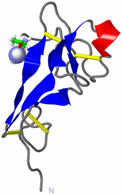 Image NMR Structure - model 1, sites